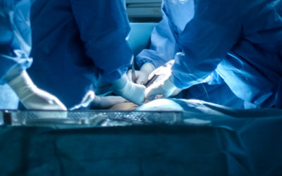 Transplante hepático incomum aumenta qualidade de vida de paciente